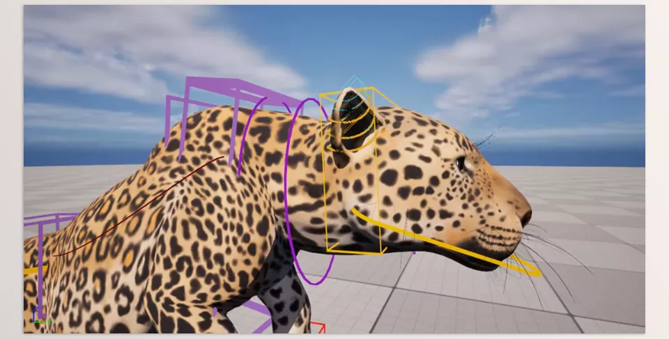 Indian Leopard Control Rig - Layered Animation