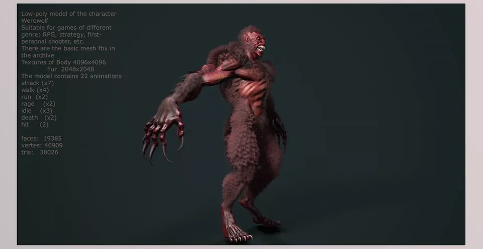 character Werewolf - Low Poly Design