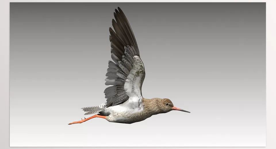 Unreal Engine - Redshank - Low-Poly Design