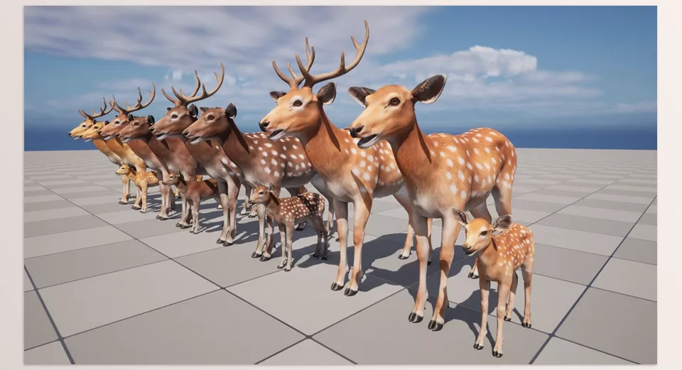 Unreal Engine - Deer Family - Over 65 animations covering a wide range of behaviors.