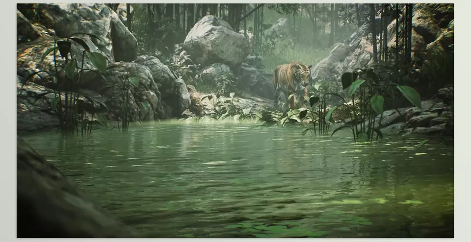 Animalia Tiger - Animations authored at 60 fps