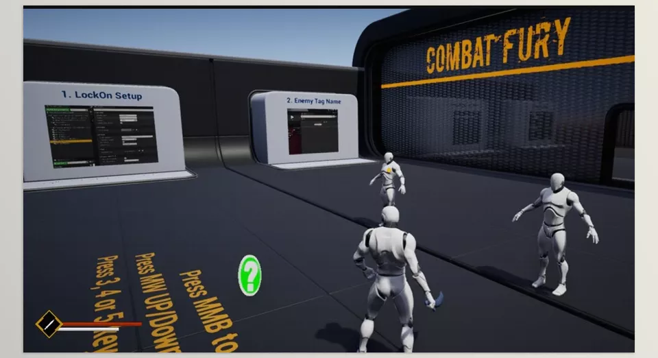 COMBAT FURY