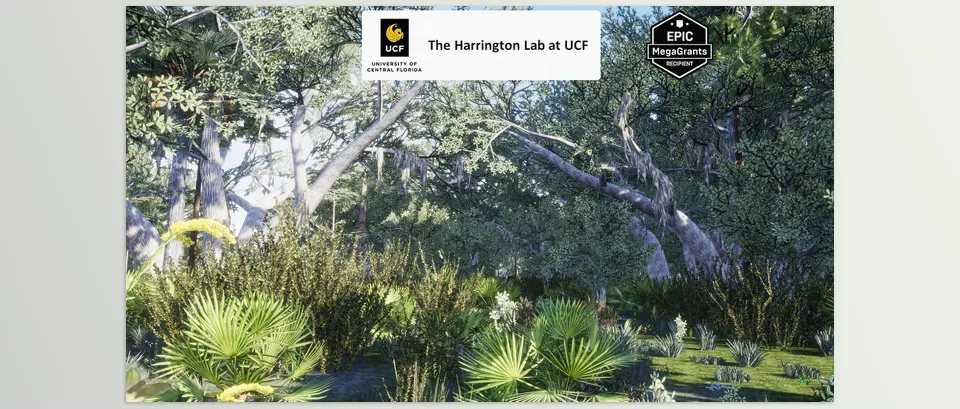 Unreal Engine – Xeric Hammock Habitat Brush Download v5.3 For UE (4.26+)