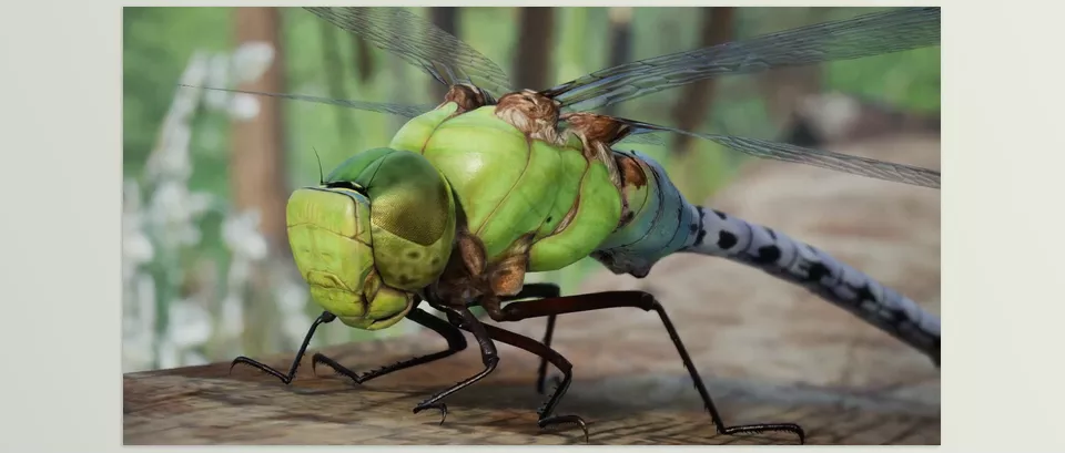 Unreal Engine – Animalia Green Darner Dragonfly Download for UE (4.24-4.27, 5.0-5.4)