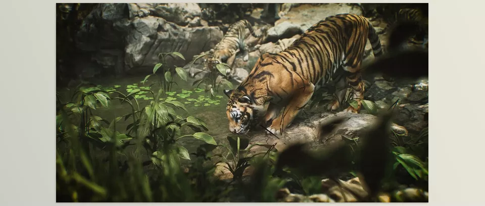 Unreal Engine – Animalia Tiger (male) Download for UE (4.20-4.27, 5.0-5.4)