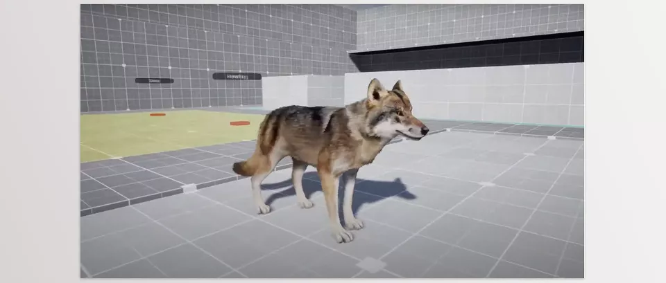 Unreal Engine – AnimX Forest Animals Download for UE (4.26-4.27, 5.0-5.4)