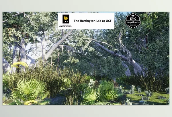 Unreal Engine – Xeric Hammock Habitat Brush Download v5.3 For UE (4.26+)