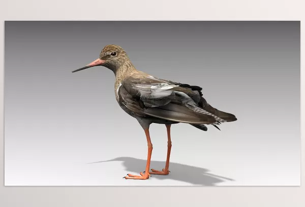 Unreal Engine – Redshank Download v5.2 For UE (5.2-5.5)