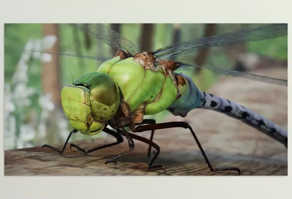 Unreal Engine – Animalia Green Darner Dragonfly Download for UE (4.24-4.27, 5.0-5.4)