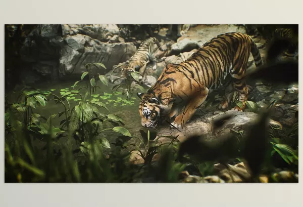 Unreal Engine – Animalia Tiger (male) Download for UE (4.20-4.27, 5.0-5.4)